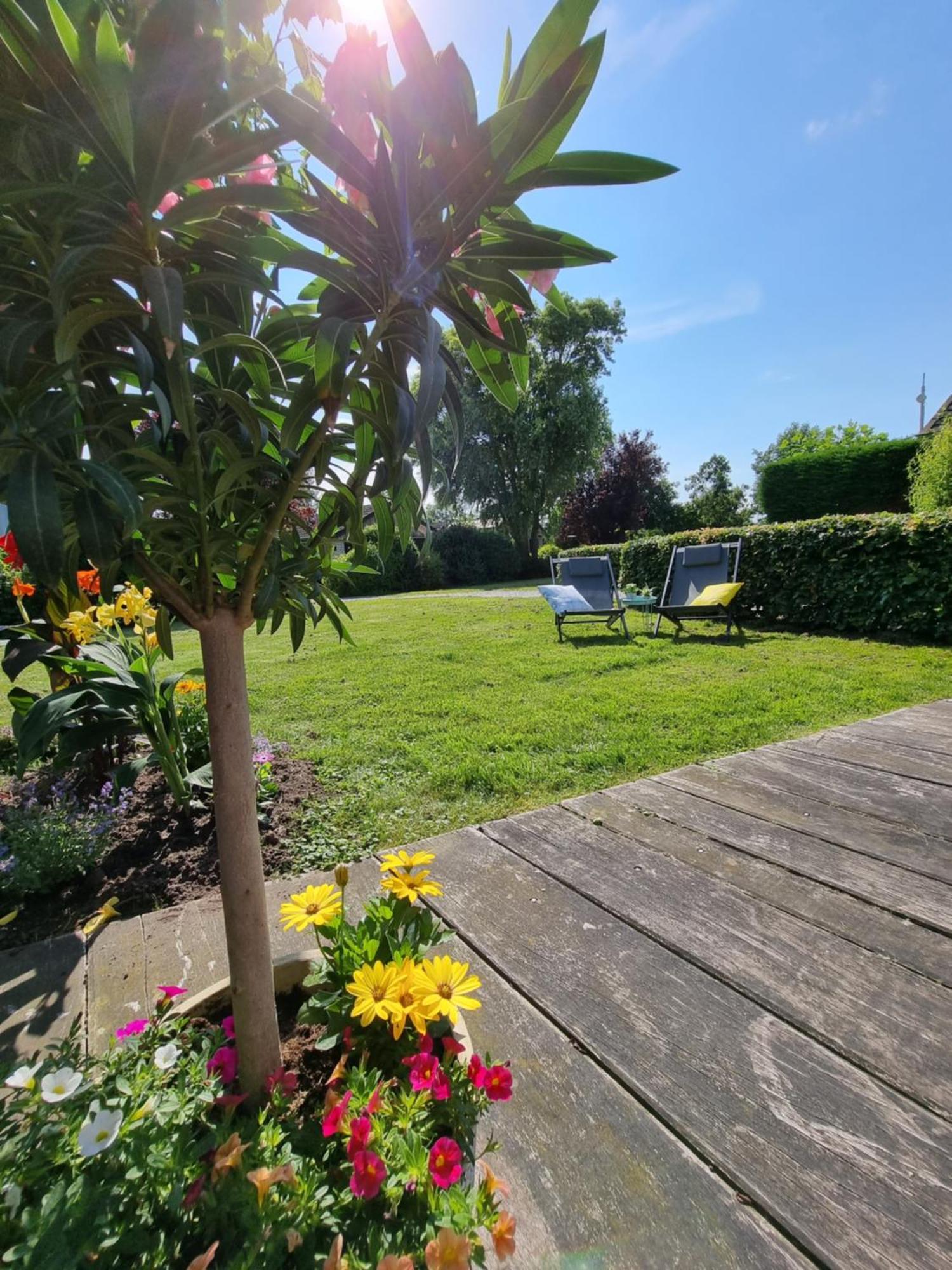Rietmeer vakantiehuis Friesland Gaastmeer Buitenkant foto
